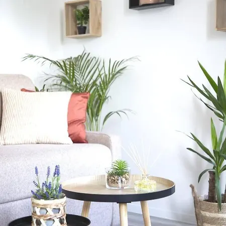 L'authentique *studio *parking Prive* *wifi*calme Apartment Lourdes